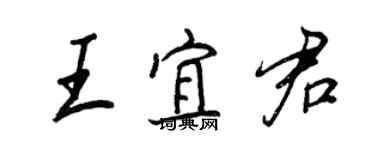 王正良王宜君行書個性簽名怎么寫