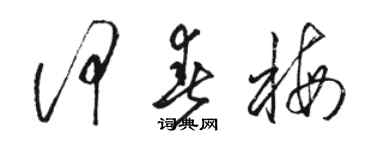 駱恆光何春梅草書個性簽名怎么寫