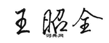 駱恆光王昭全行書個性簽名怎么寫