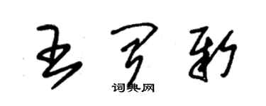 朱錫榮王聞新草書個性簽名怎么寫