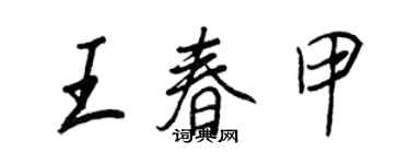 王正良王春甲行書個性簽名怎么寫