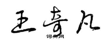 曾慶福王奇凡草書個性簽名怎么寫