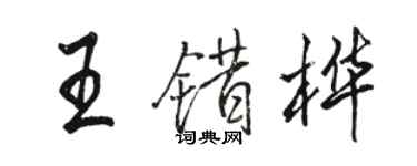 駱恆光王錯樺行書個性簽名怎么寫