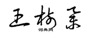 曾慶福王樹舉草書個性簽名怎么寫