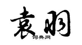 胡問遂袁羽行書個性簽名怎么寫