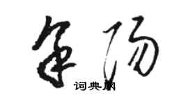 駱恆光余陽草書個性簽名怎么寫