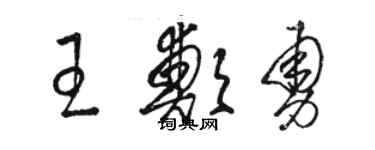 駱恆光王鄭勇草書個性簽名怎么寫