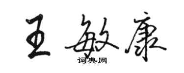 駱恆光王敏康行書個性簽名怎么寫