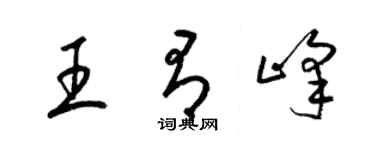 梁錦英王有峰草書個性簽名怎么寫
