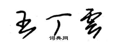 朱錫榮王丁雲草書個性簽名怎么寫