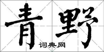 翁闓運青野楷書怎么寫