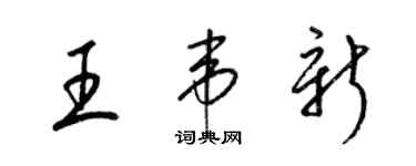 梁錦英王韋新草書個性簽名怎么寫