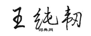 駱恆光王純韌行書個性簽名怎么寫