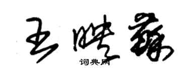 朱錫榮王映蘇草書個性簽名怎么寫