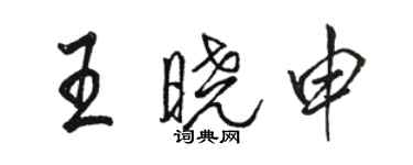 駱恆光王曉申行書個性簽名怎么寫