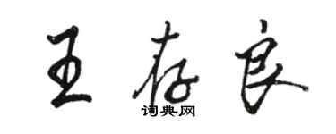 駱恆光王存良行書個性簽名怎么寫