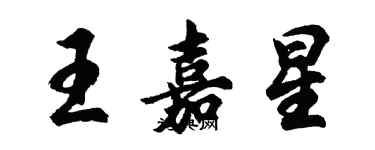 胡問遂王嘉星行書個性簽名怎么寫