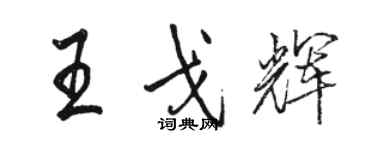 駱恆光王戈輝行書個性簽名怎么寫