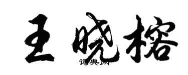 胡問遂王曉榕行書個性簽名怎么寫
