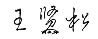 駱恆光王賢松草書個性簽名怎么寫