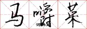 錢沛雲馬嚼菜行書怎么寫