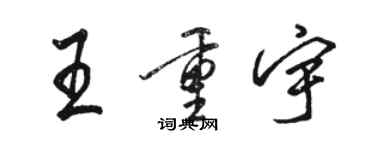 駱恆光王重宇行書個性簽名怎么寫