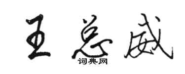 駱恆光王總威行書個性簽名怎么寫