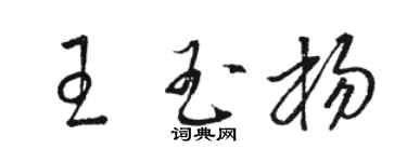 駱恆光王玉楊草書個性簽名怎么寫