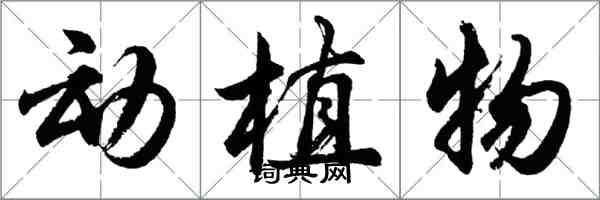 胡問遂動植物行書怎么寫