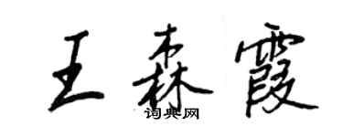 王正良王森霞行書個性簽名怎么寫