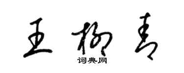 梁錦英王柳青草書個性簽名怎么寫