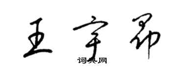 梁錦英王宇昂草書個性簽名怎么寫