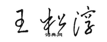 駱恆光王松淳草書個性簽名怎么寫