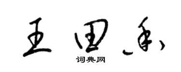 梁錦英王田香草書個性簽名怎么寫