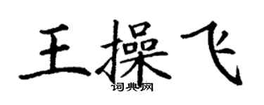 丁謙王操飛楷書個性簽名怎么寫