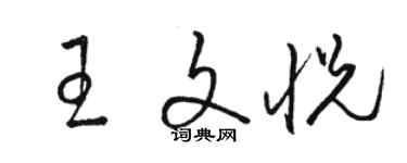 駱恆光王文悅草書個性簽名怎么寫