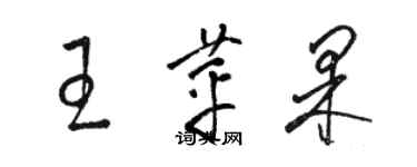 駱恆光王蘋果草書個性簽名怎么寫