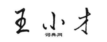 駱恆光王小才行書個性簽名怎么寫