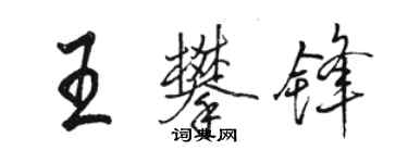 駱恆光王攀鋒行書個性簽名怎么寫