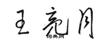 駱恆光王亮月草書個性簽名怎么寫