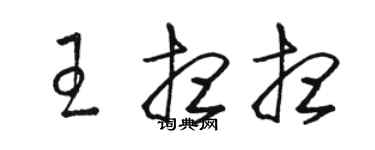 駱恆光王想想草書個性簽名怎么寫