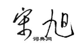 駱恆光宋旭草書個性簽名怎么寫