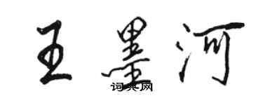 駱恆光王墨河行書個性簽名怎么寫