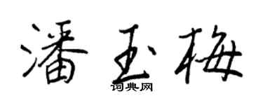 王正良潘玉梅行書個性簽名怎么寫