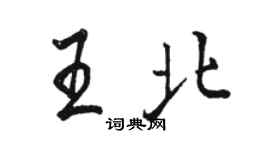 駱恆光王北行書個性簽名怎么寫