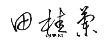駱恆光田桂蘭草書個性簽名怎么寫
