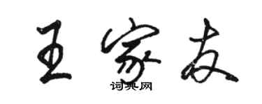 駱恆光王家友行書個性簽名怎么寫