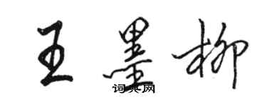 駱恆光王墨柳行書個性簽名怎么寫