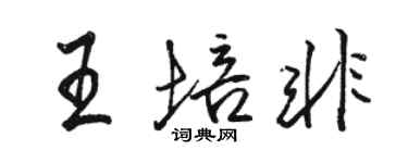 駱恆光王培非行書個性簽名怎么寫