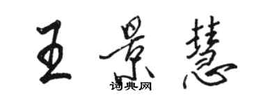 駱恆光王景慧行書個性簽名怎么寫